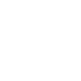 Inseções (PCD e Taxi)